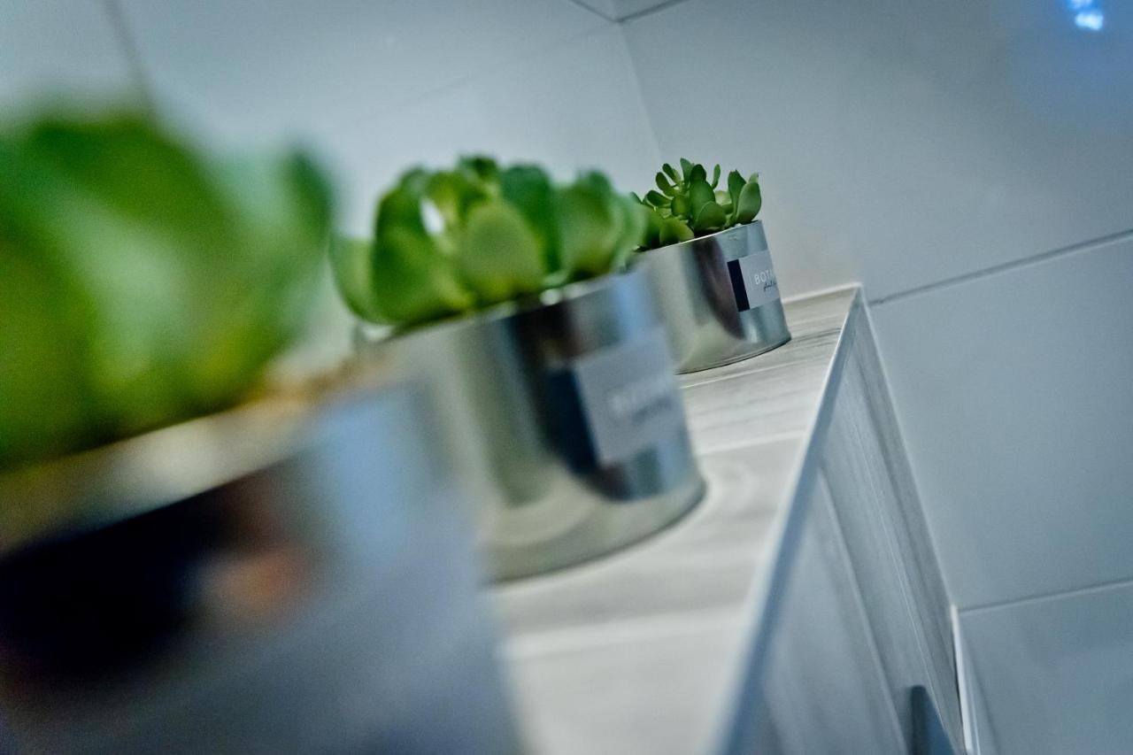 Apartament Kalinka 尼萨 外观 照片